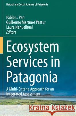 Ecosystem Services in Patagonia: A Multi-Criteria Approach for an Integrated Assessment Peri, Pablo L. 9783030691684 Springer International Publishing - książka