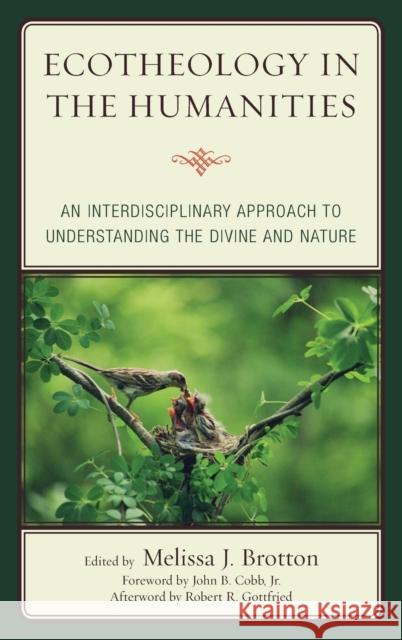 Ecotheology in the Humanities: An Interdisciplinary Approach to Understanding the Divine and Nature Melissa Brotton Robert R. Gottfried John Cob 9781498527934 Lexington Books - książka