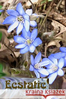 Ecstatic Hanno Frank Hanno Frank 9781517475840 Createspace - książka