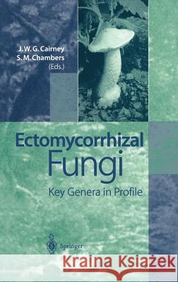 Ectomycorrhizal Fungi: Key Genera in Profile Cairney, John W. G. 9783540656098 Springer - książka