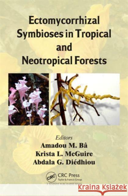 Ectomycorrhizal Symbioses in Tropical and Neotropical Forests Amadou M. Ba Krista L. McGuire Abdala G. Diedhiou 9781466594685 CRC Press Inc - książka