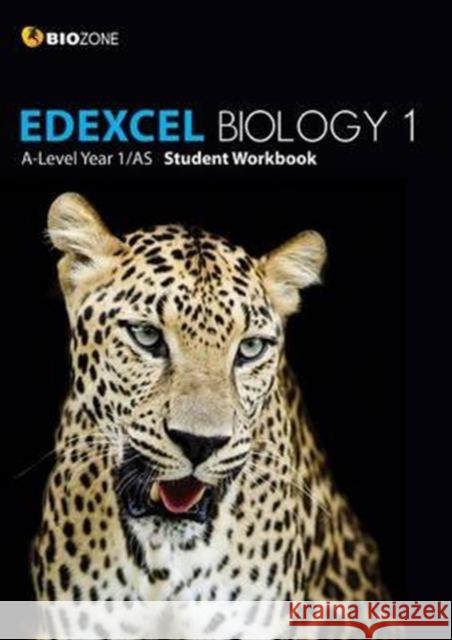 EDEXCEL Biology 1 A-Level 1/AS Student Workbook Tracey Greenwood 9781927309254 Biozone International Ltd - książka