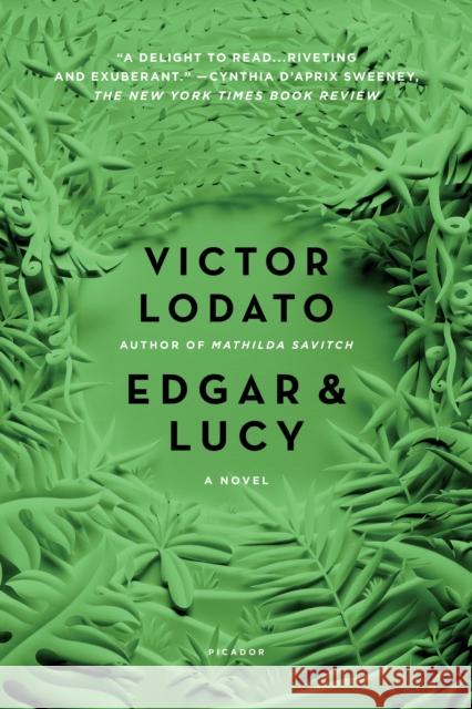 Edgar and Lucy Lodato, Victor 9781250096999 Picador USA - książka