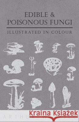 Edible and Poisonous Fungi - Illustrated in Colour Arthur W. Hill 9781447471165 Grizzell Press - książka