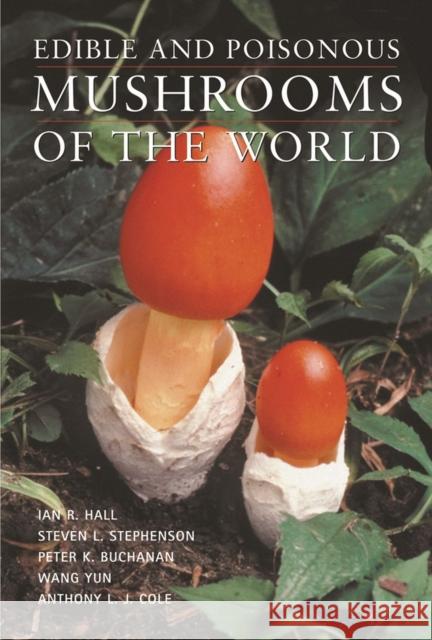 Edible and Poisonous Mushrooms of the World Ian R. Hall Steven L. Stephenson Peter K. Buchanan 9781604692471 Timber Press (OR) - książka