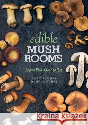 Edible Mushrooms: Safe to Pick, Good to Eat Barbro Forsberg Stefan Lindberg 9781628736441 Skyhorse Publishing - książka