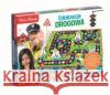 Edukacja drogowa  8005125507771 Clementoni