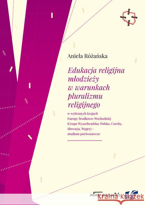 Edukacja religijna młodzieży w warunkach... Różańska Aniela 9788380192812 Adam Marszałek - książka