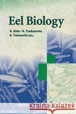 Eel Biology K. Aida K. Tsukamoto K. Yamauchi 9784431659099 Springer - książka