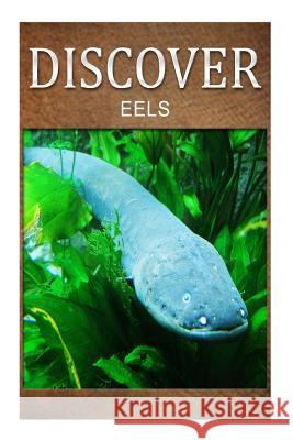 Eels - Discover: Early reader's wildlife photography book Press, Discover 9781497528741 Createspace - książka