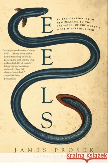 Eels: An Exploration, from New Zealand to the Sargasso, of the World's Most Mysterious Fish James Prosek 9780060566128 Harper Perennial - książka