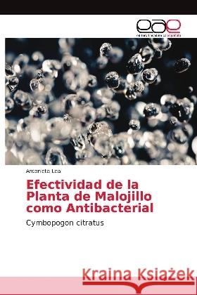 Efectividad de la Planta de Malojillo como Antibacterial : Cymbopogon citratus Leal, Antonieta 9786139407293 Editorial Académica Española - książka