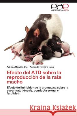 Efecto del Atd Sobre La Reproduccion de La Rata Macho Adriana Morales-Otal Armando Ferreira-N 9783659004117 Editorial Acad Mica Espa Ola - książka