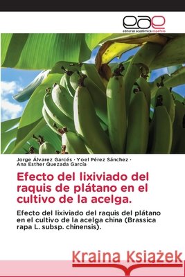 Efecto del lixiviado del raquis de plátano en el cultivo de la acelga. Álvarez Garcés, Jorge, Pérez Sánchez, Yoel, Quezada García, Ana Esther 9786209402685 Editorial Académica Española - książka