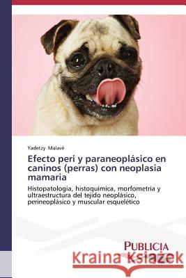 Efecto peri y paraneoplásico en caninos (perras) con neoplasia mamaria Malavé Yadetzy 9783639556759 Publicia - książka