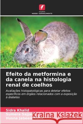 Efeito da metformina e da canela na histologia renal de coelhos Khalid, Sidra, Sajjad, Sumera, Malik, Husna Jabeen 9786209109652 Edições Nosso Conhecimento - książka