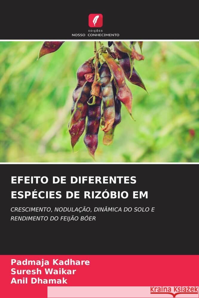 EFEITO DE DIFERENTES ESPÉCIES DE RIZÓBIO EM Kadhare, Padmaja, Waikar, Suresh, Dhamak, Anil 9786206529972 Edições Nosso Conhecimento - książka