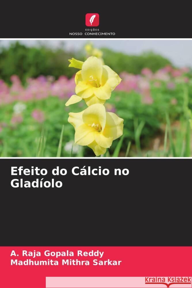 Efeito do C?lcio no Glad?olo A. Raja Gopala Reddy Madhumita Mithra Sarkar 9786208354367 Edicoes Nosso Conhecimento - książka