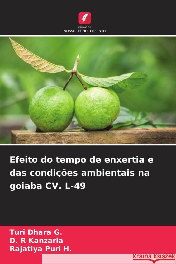 Efeito do tempo de enxertia e das condições ambientais na goiaba CV. L-49 G., Turi Dhara, Kanzaria, D. R, Puri H., Rajatiya 9786204873404 Edições Nosso Conhecimento - książka
