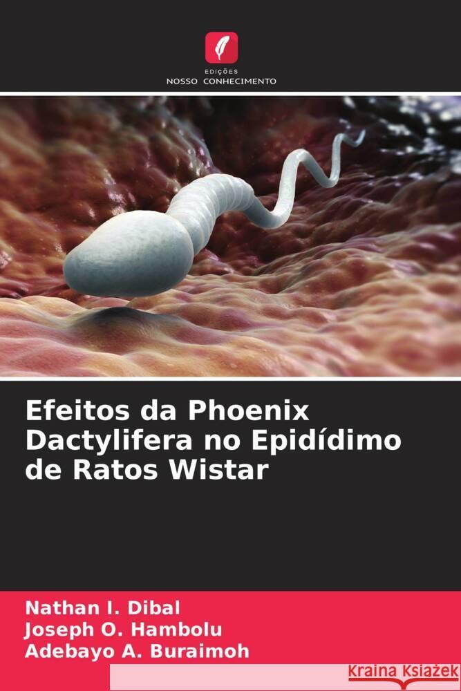 Efeitos da Phoenix Dactylifera no Epid?dimo de Ratos Wistar Nathan I. Dibal Joseph O. Hambolu Adebayo A. Buraimoh 9786208614164 Edicoes Nosso Conhecimento - książka