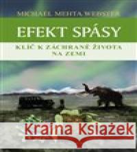 Efekt spásy Michael Mehta Webster 9788076841482 Triton - książka