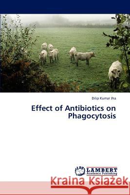Effect of Antibiotics on Phagocytosis  9783843367585 LAP Lambert Academic Publishing - książka
