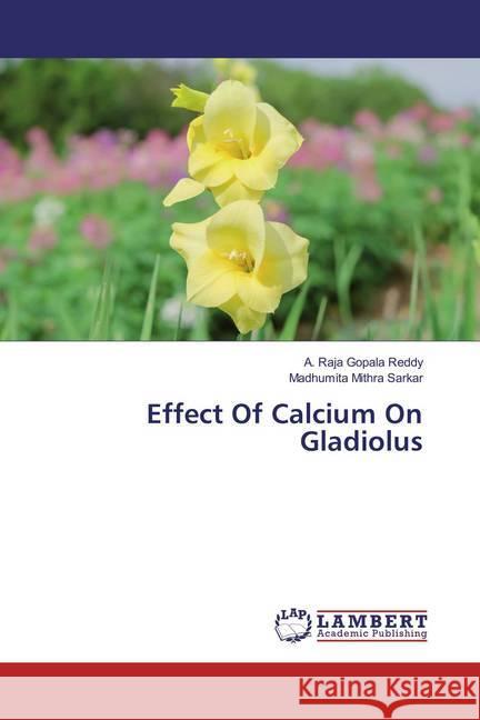 Effect Of Calcium On Gladiolus Reddy, A. Raja Gopala; Sarkar, Madhumita Mithra 9783659862250 LAP Lambert Academic Publishing - książka