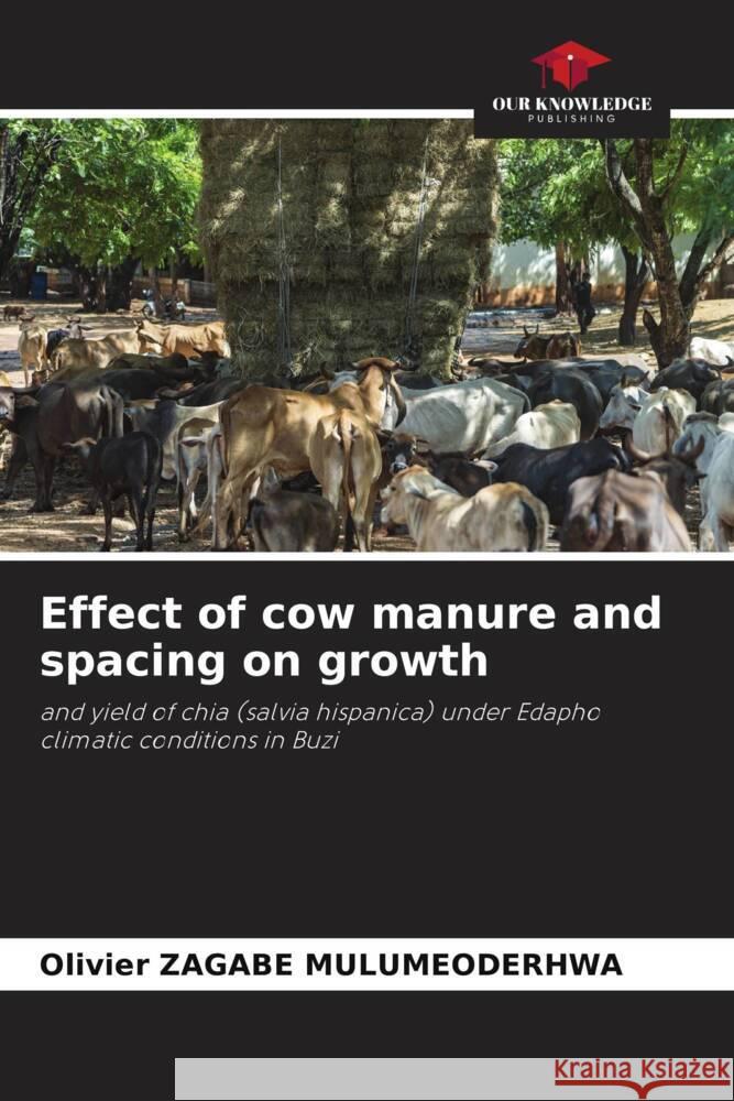 Effect of cow manure and spacing on growth Olivier Zagab 9786206921288 Our Knowledge Publishing - książka