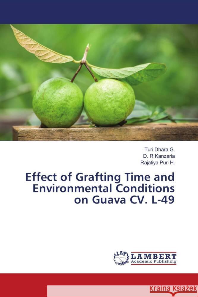 Effect of Grafting Time and Environmental Conditions on Guava CV. L-49 G., Turi Dhara, Kanzaria, D. R, Puri H., Rajatiya 9786204206165 LAP Lambert Academic Publishing - książka