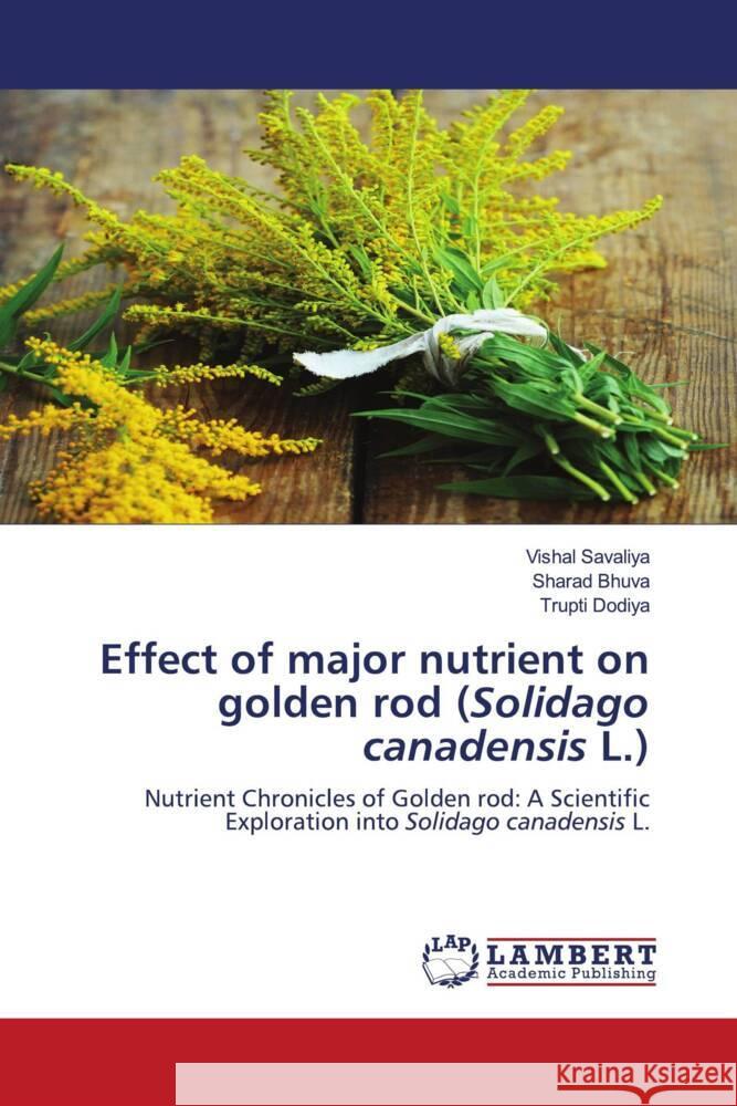 Effect of major nutrient on golden rod (Solidago canadensis L.) Vishal Savaliya Sharad Bhuva Trupti Dodiya 9786207461271 LAP Lambert Academic Publishing - książka