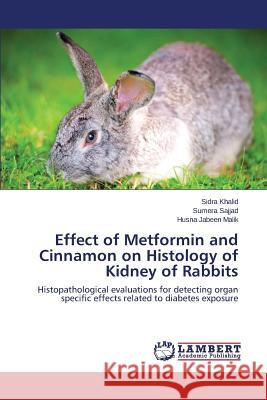 Effect of Metformin and Cinnamon on Histology of Kidney of Rabbits Khalid Sidra 9783659380433 LAP Lambert Academic Publishing - książka