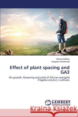 Effect of plant spacing and GA3 Sahare Homraj 9783659713330 LAP Lambert Academic Publishing - książka