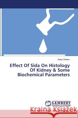 Effect Of Sida On Histology Of Kidney & Some Biochemical Parameters Obeten, Kebe 9783659504143 LAP Lambert Academic Publishing - książka