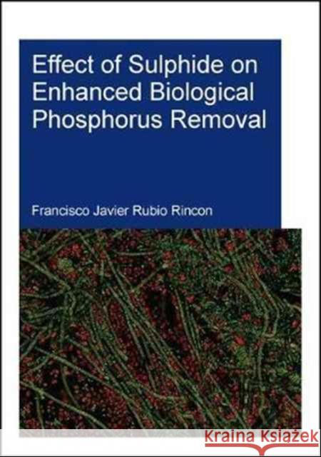 Effect of Sulphide on Enhanced Biological Phosphorus Removal Francisco Rubio-Rincon 9781138039971 CRC Press - książka
