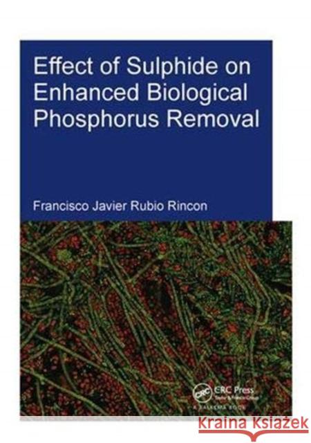 Effect of Sulphide on Enhanced Biological Phosphorus Removal Francisco Javier Rubio Rincon 9781138373563 Taylor and Francis - książka