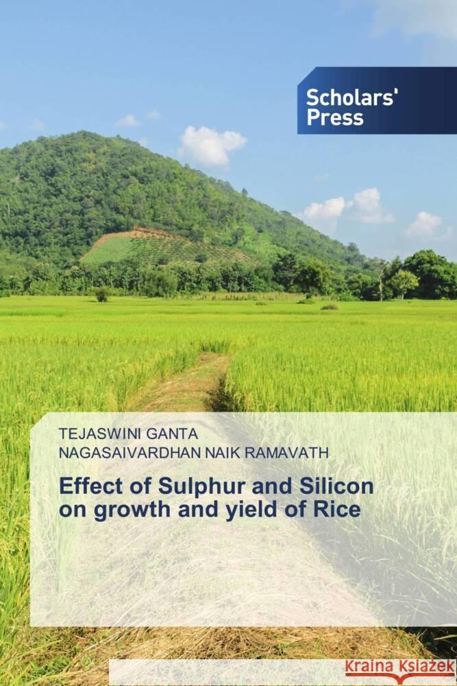 Effect of Sulphur and Silicon on growth and yield of Rice GANTA, TEJASWINI, Ramavath, Nagasaivardhan Naik 9786206769200 Scholars' Press - książka