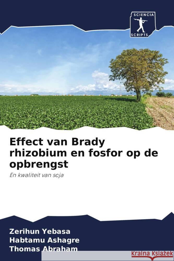 Effect van Brady rhizobium en fosfor op de opbrengst : En kwaliteit van soja Yebasa, Zerihun; Ashagre, Habtamu; Abraham, Thomas 9786200867674 Sciencia Scripts - książka