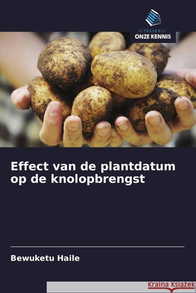 Effect van de plantdatum op de knolopbrengst Haile, Bewuketu 9786203476019 Uitgeverij Onze Kennis - książka