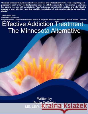 Effective Addiction Treatment: The Minnesota Alternative MS Paula L. Desanto 9781478332435 Createspace - książka
