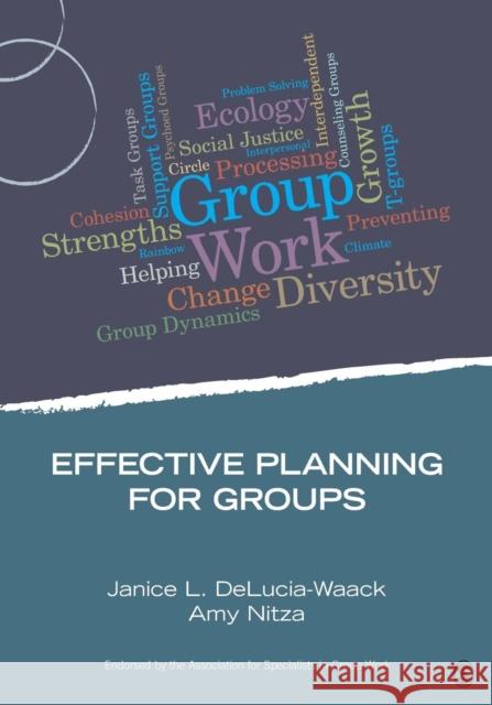 Effective Planning for Groups Janice Delucia-Waack Amy Nitza 9781483332307 Sage Publications (CA) - książka