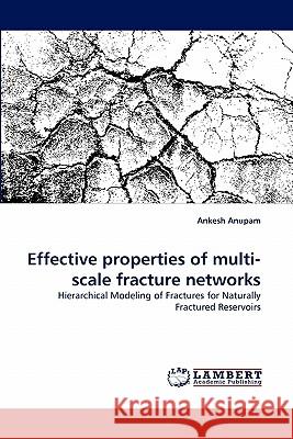 Effective properties of multi-scale fracture networks Anupam, Ankesh 9783843382878 LAP Lambert Academic Publishing AG & Co KG - książka