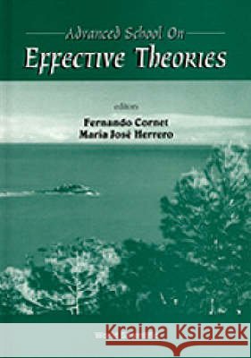 Effective Theories - Proceedings Of The Advanced School Fernando Cornet, Maria Jose Herrero 9789810229085 World Scientific (RJ) - książka