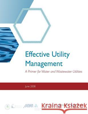 Effective Utility Management: A Primer for Water and Wastewater Utilities Environmental Protection Agency 9781475060683 Createspace - książka