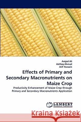 Effects of Primary and Secondary Macronutrients on Maize Crop Amjed Ali, Ashfaq Ahmad, Arif Hussain (Wto Appellate Body Secretariat Geneva) 9783844317237 LAP Lambert Academic Publishing - książka