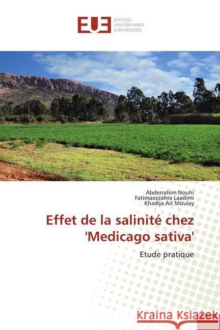 Effet de la salinité chez 'Medicago sativa' : Etude pratique Nouhi, Abderrahim; Laadimi, Fatimaezzahra; Ait Moulay, Khadija 9786138440765 Éditions universitaires européennes - książka