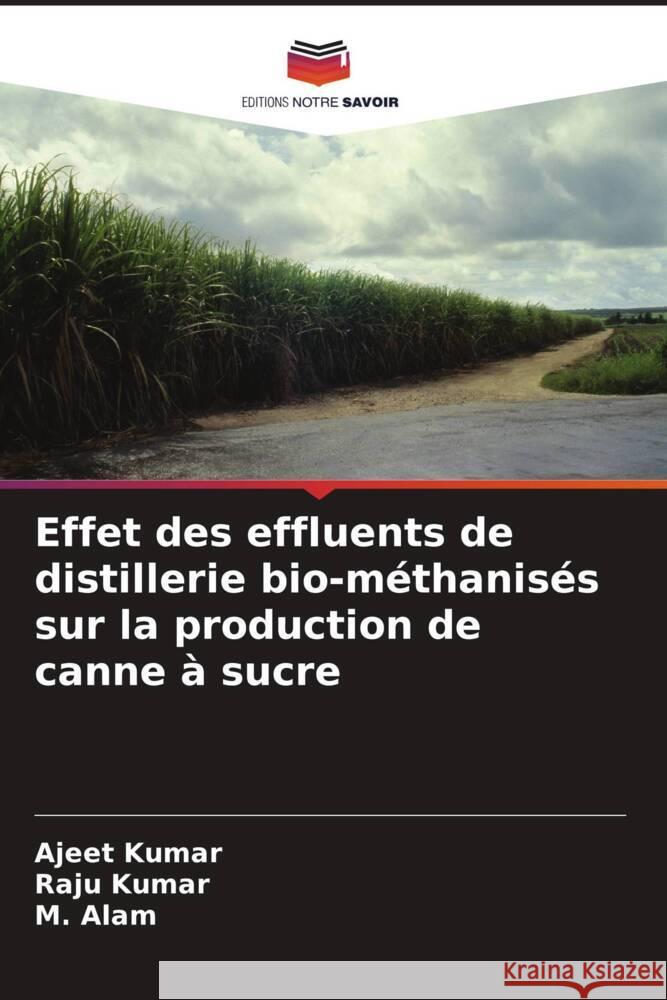 Effet des effluents de distillerie bio-méthanisés sur la production de canne à sucre Kumar, Ajeet, Kumar, Raju, Alam, M. 9786204890609 Editions Notre Savoir - książka