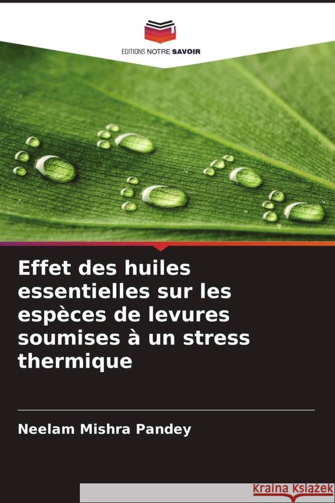 Effet des huiles essentielles sur les espèces de levures soumises à un stress thermique Mishra Pandey, Neelam 9786208573072 Editions Notre Savoir - książka