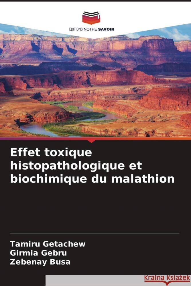 Effet toxique histopathologique et biochimique du malathion Getachew, Tamiru, Gebru, Girmia, Busa, Zebenay 9786204578071 Editions Notre Savoir - książka