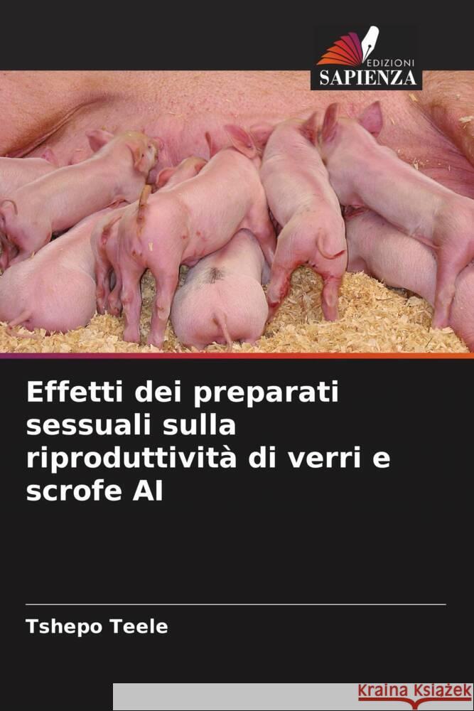 Effetti dei preparati sessuali sulla riproduttivit? di verri e scrofe AI Tshepo Teele 9786208047641 Edizioni Sapienza - książka