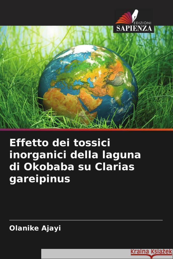 Effetto dei tossici inorganici della laguna di Okobaba su Clarias gareipinus Ajayi, Olanike 9786208207298 Edizioni Sapienza - książka